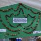 DSC_0001b Fig Rosary beads by Fr G Camilleri S J