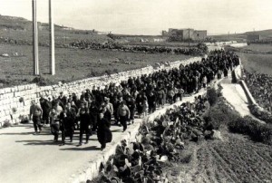 pellegrinagg 1973 ta pinu